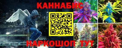 эйфоретик Гусев