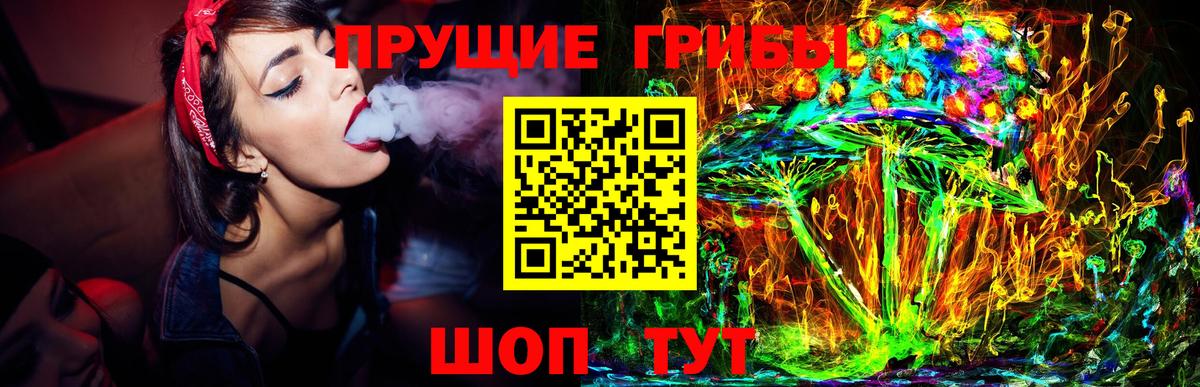 Псилоцибиновые грибы Magic Shrooms  Вход с VPN  Галлюциногенные грибы Magic Shrooms  где можно купить наркотик  Миллерово 